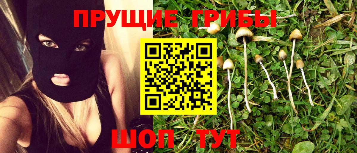 Галлюциногенные грибы мицелий Губкин