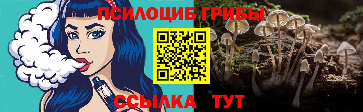 Губкин  Галлюциногенные грибы Magic Shrooms  Вход с VPN 